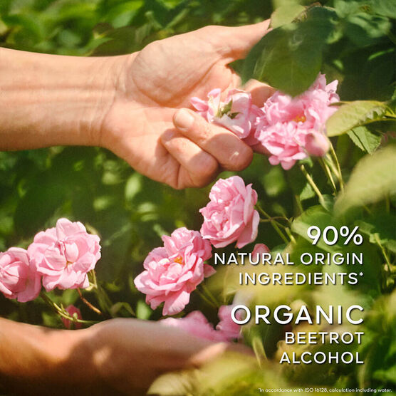 Perfume Guerlain La Petite Noire Feminino Eau de Toilette